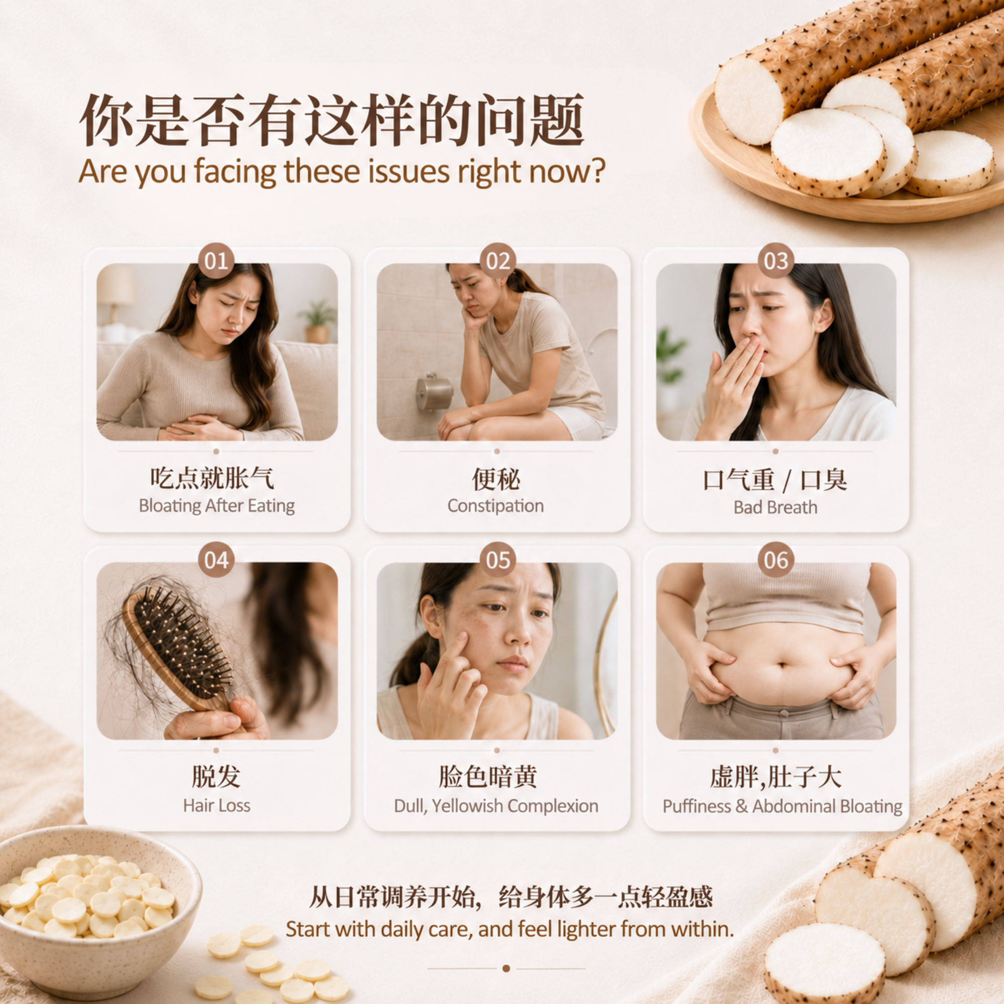 山药杏仁风味粉 Chinese Yam And Apricot Kernel Instant Mix